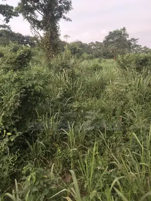 Land for Farming Take Note Is Registered 7 Acers but Not at 1 Place