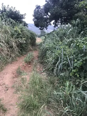 Land for Farming Take Note Is Registered 7 Acers but Not at 1 Place