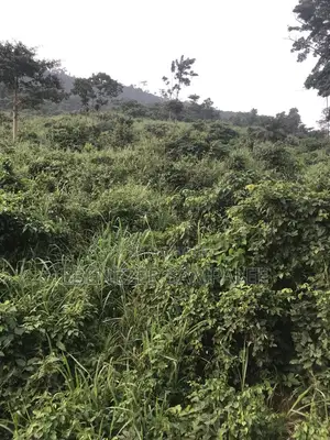 Land for Farming Take Note Is Registered 7 Acers but Not at 1 Place