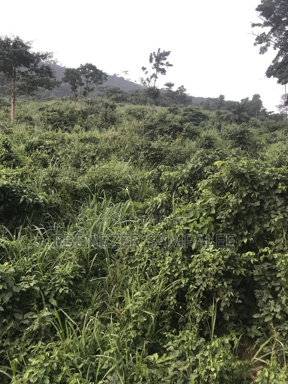 Land for Farming Take Note Is Registered 7 Acers but Not at 1 Place