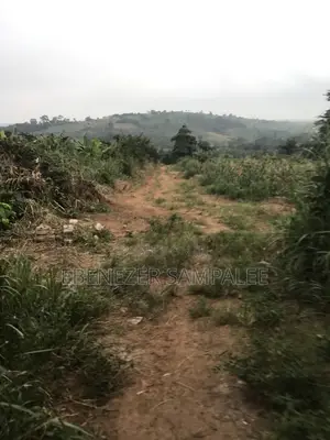Land for Farming Take Note Is Registered 7 Acers but Not at 1 Place