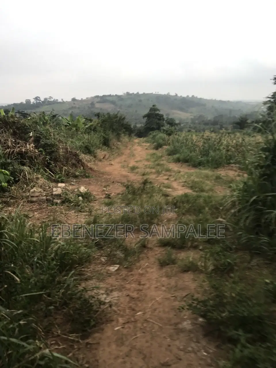 Land for Farming Take Note Is Registered 7 Acers but Not at 1 Place