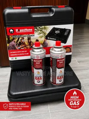 Portable Gas Stove