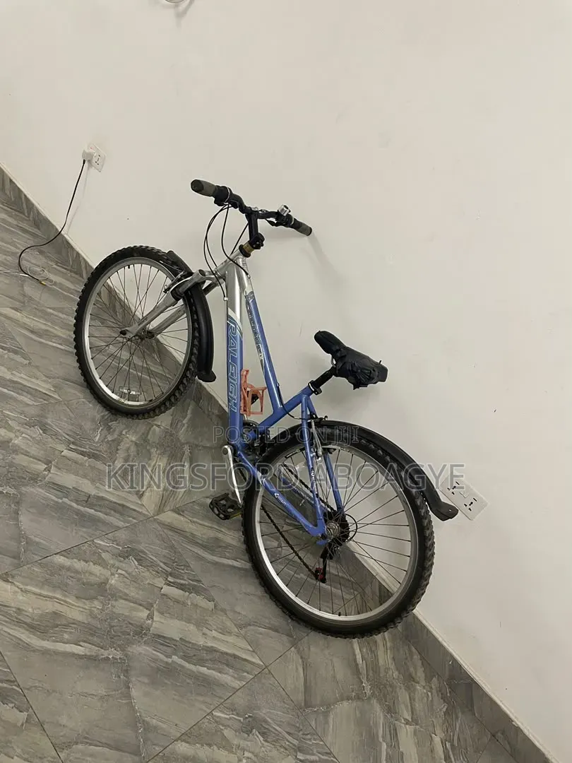 Raleigh 2020 Blue