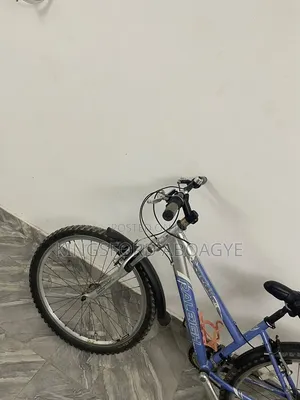 Raleigh 2020 Blue