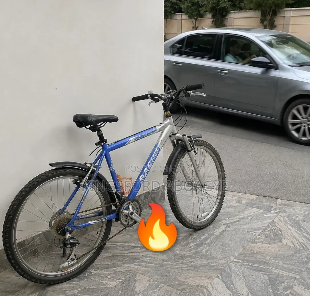Raleigh 2020 Blue
