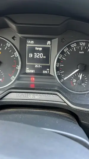 Skoda Fabia 2013 Silver