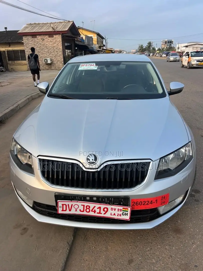 Skoda Fabia 2013 Silver