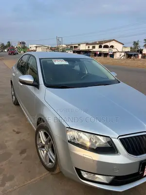 Skoda Fabia 2013 Silver