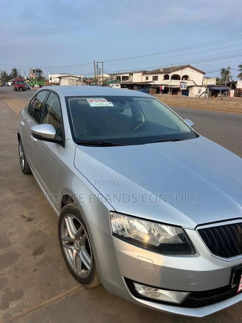 Skoda Fabia 2013 Silver