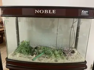 Modern Glass Aquarium for Home Office Decor - Crystal Clear