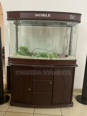 Modern Glass Aquarium for Home Office Decor - Crystal Clear