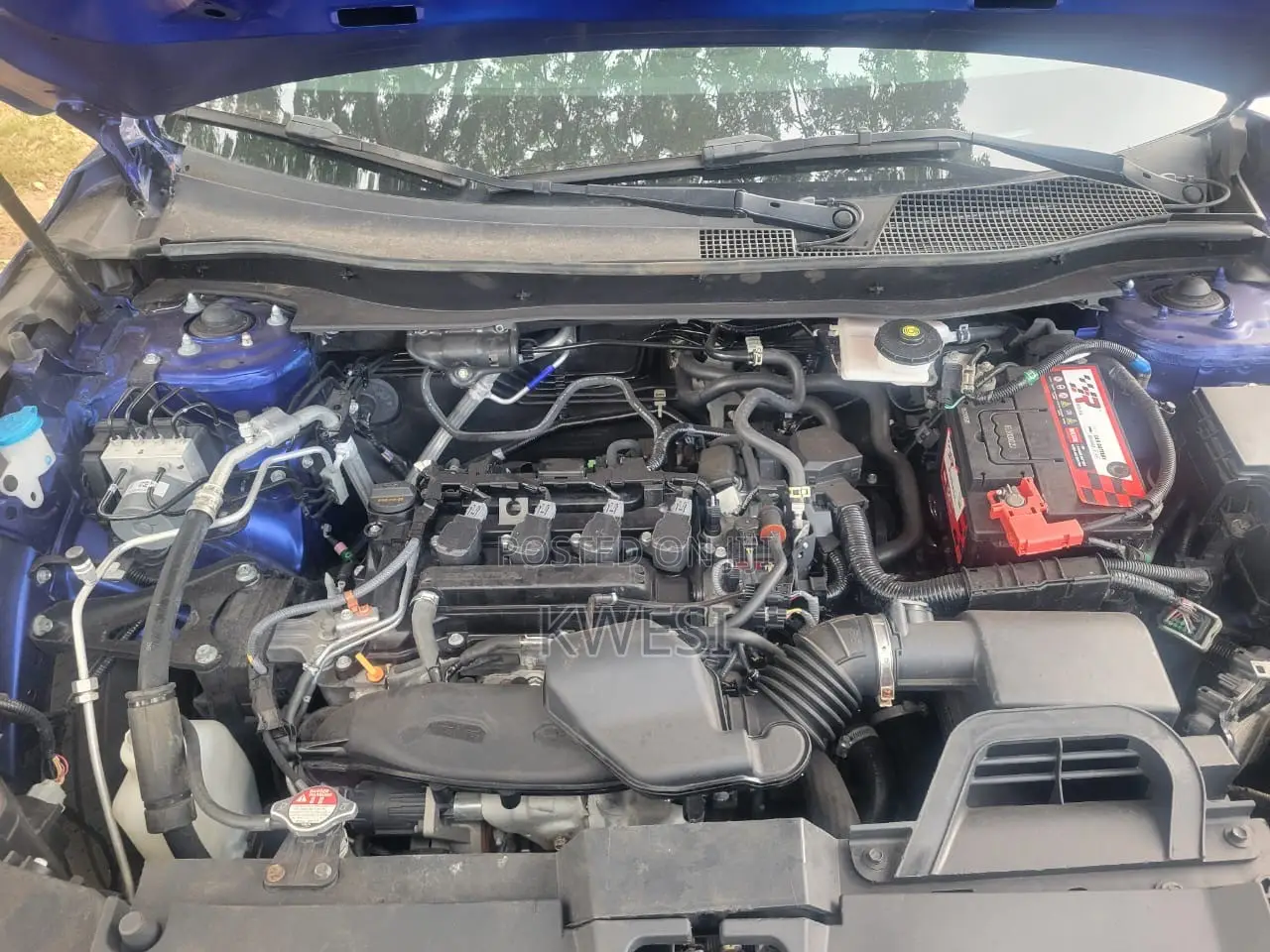 Honda CR-V EX-L AWD w/o BSI 2024 Blue