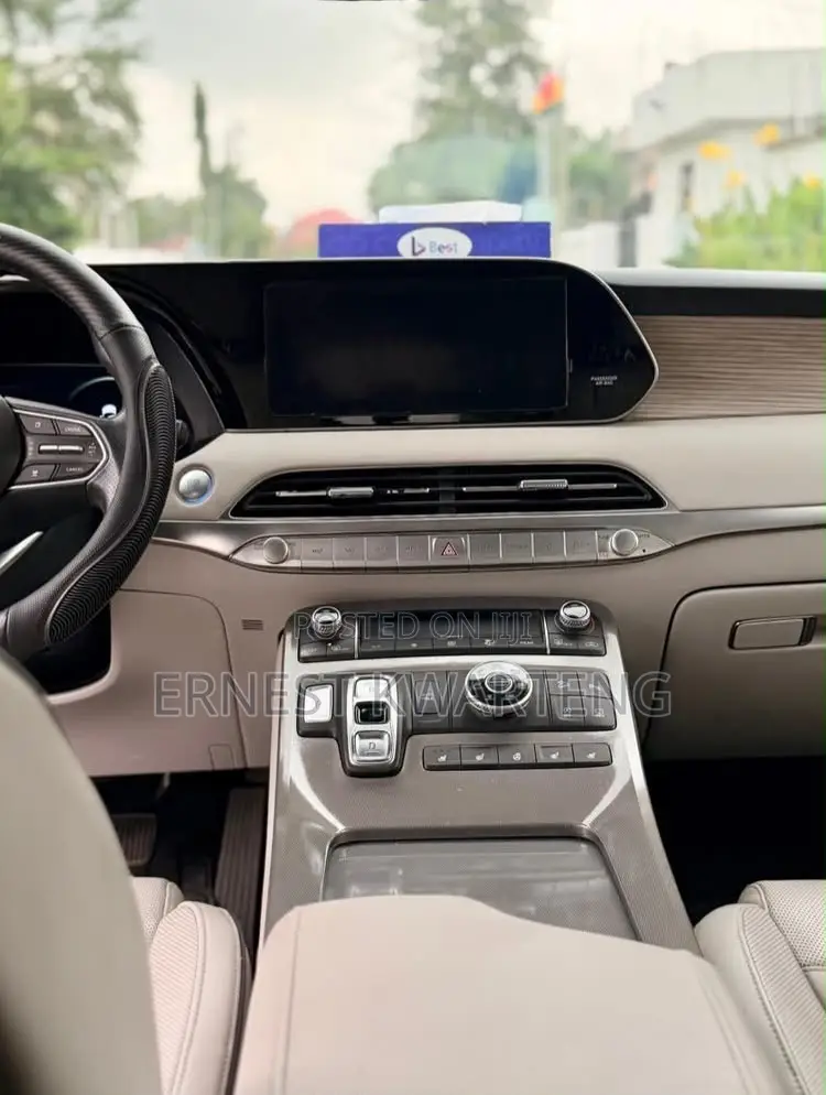 Hyundai Palisade 2021 Black
