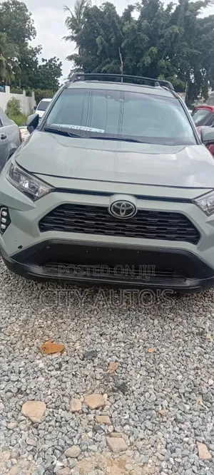Toyota RAV4 XLE AWD 2020 Green