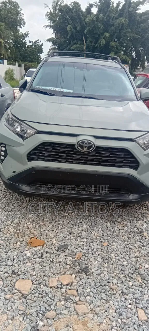 Toyota RAV4 XLE AWD 2020 Green