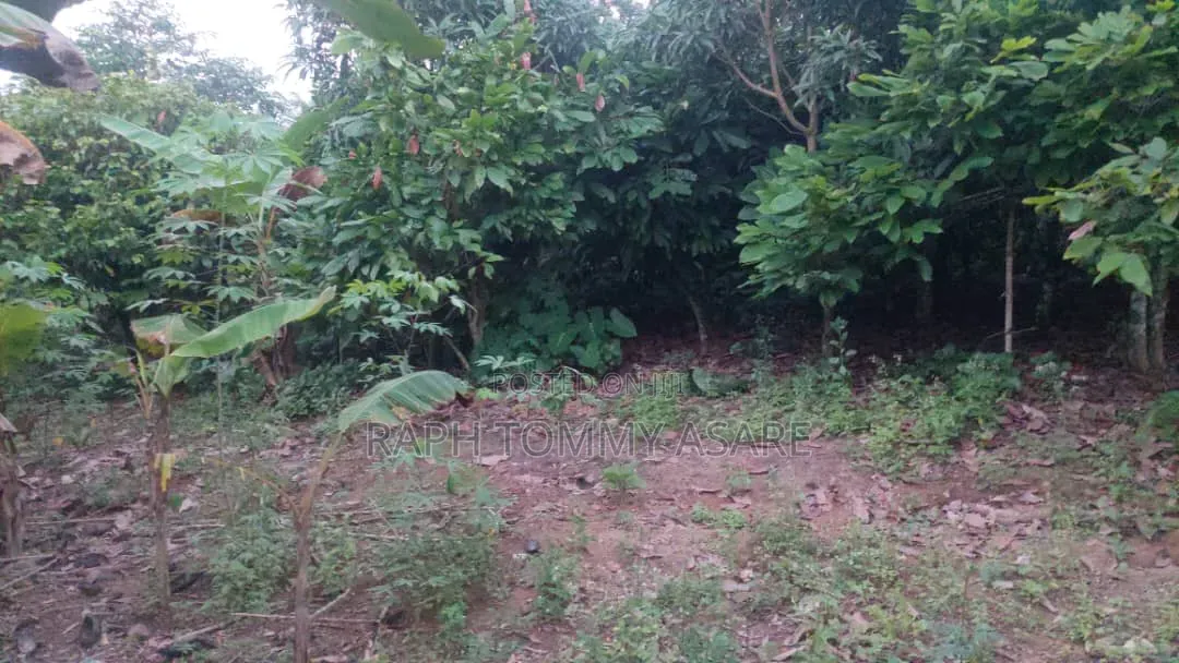 Middle of the Town Land for Sale