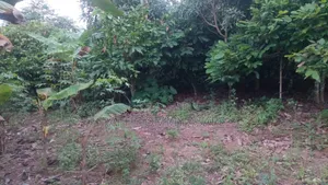 Middle of the Town Land for Sale