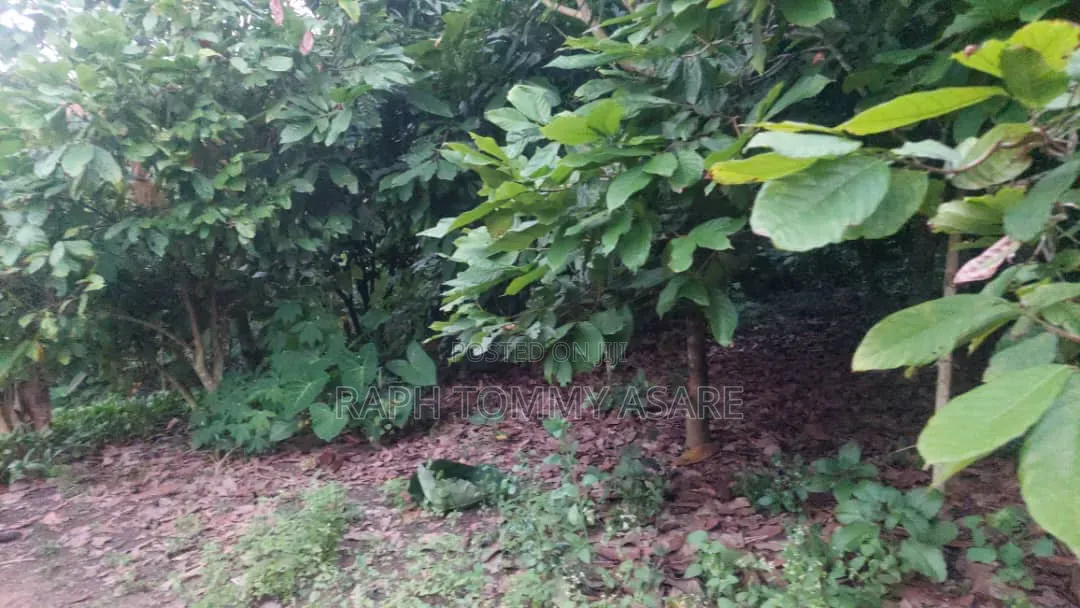 Middle of the Town Land for Sale