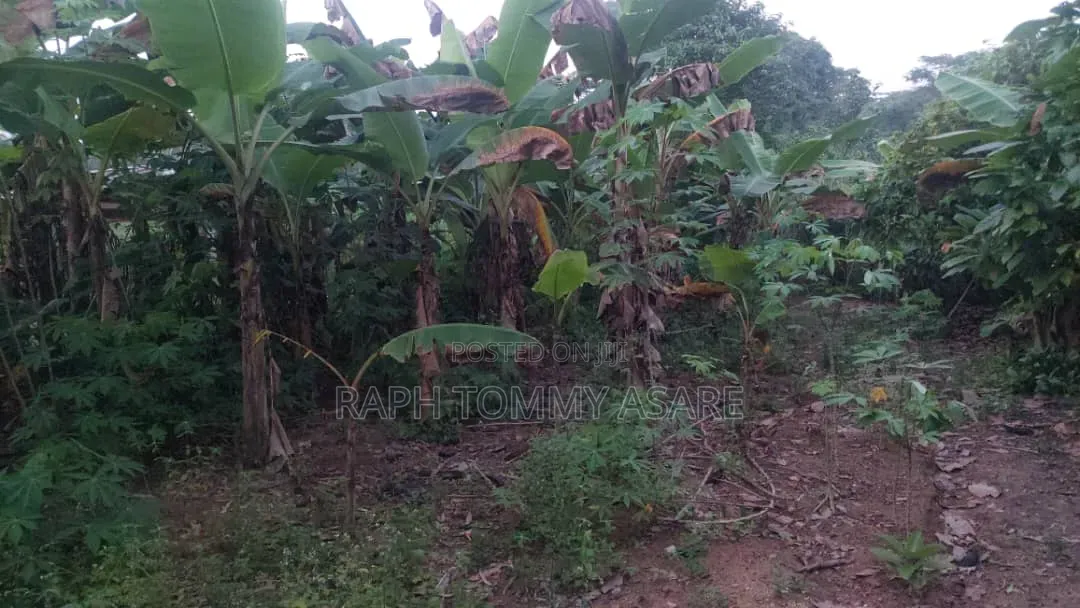 Middle of the Town Land for Sale