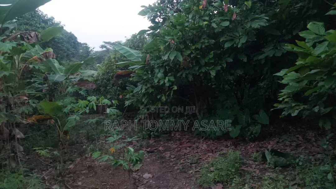 Middle of the Town Land for Sale
