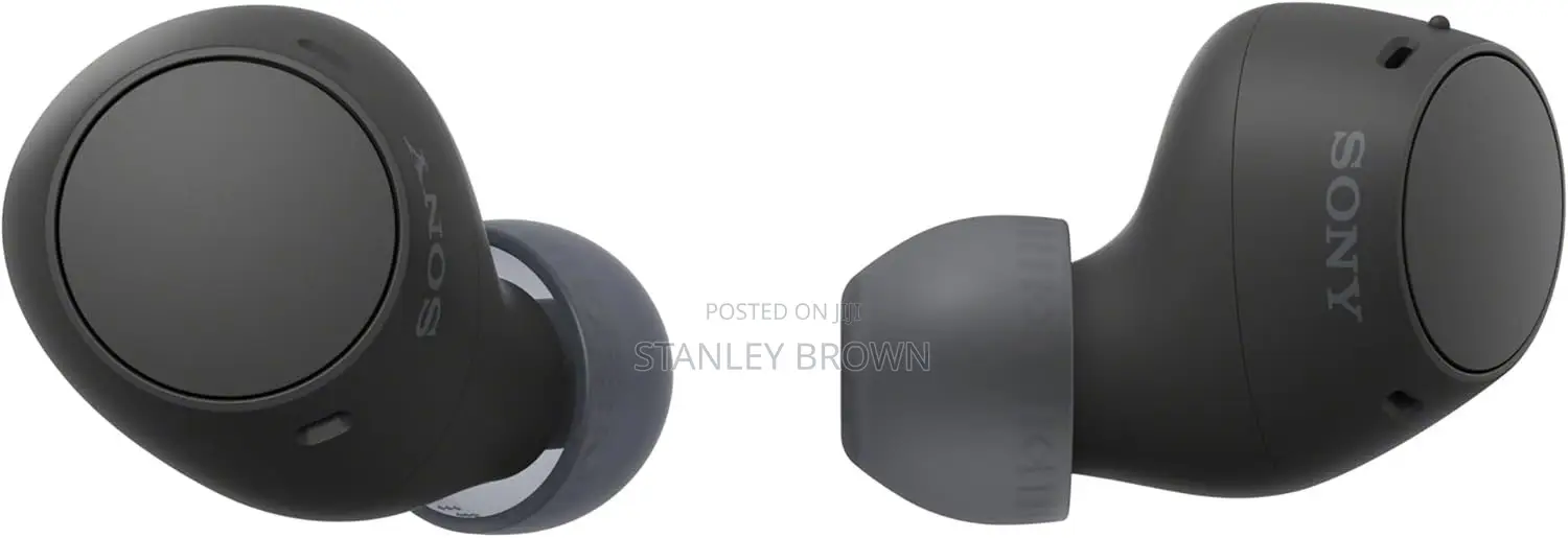 Sony WF-C510 Truly Wireless Bluetooth Earbud Headphones