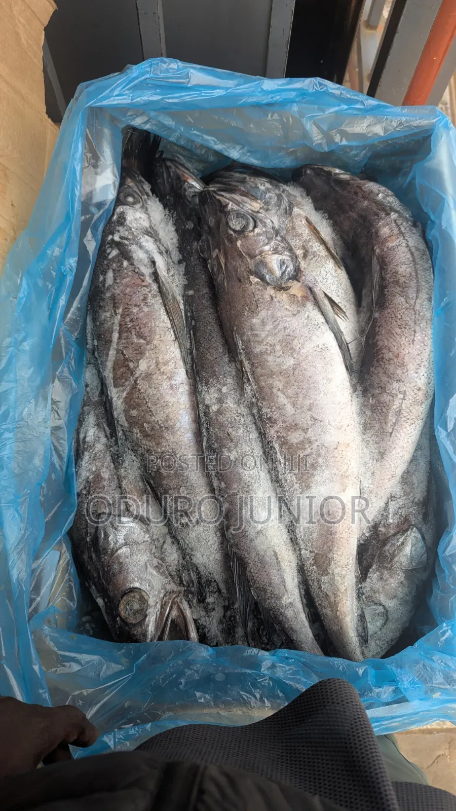 Wholesale Imported Frozen Fish Boxes (10kg – 30kg)