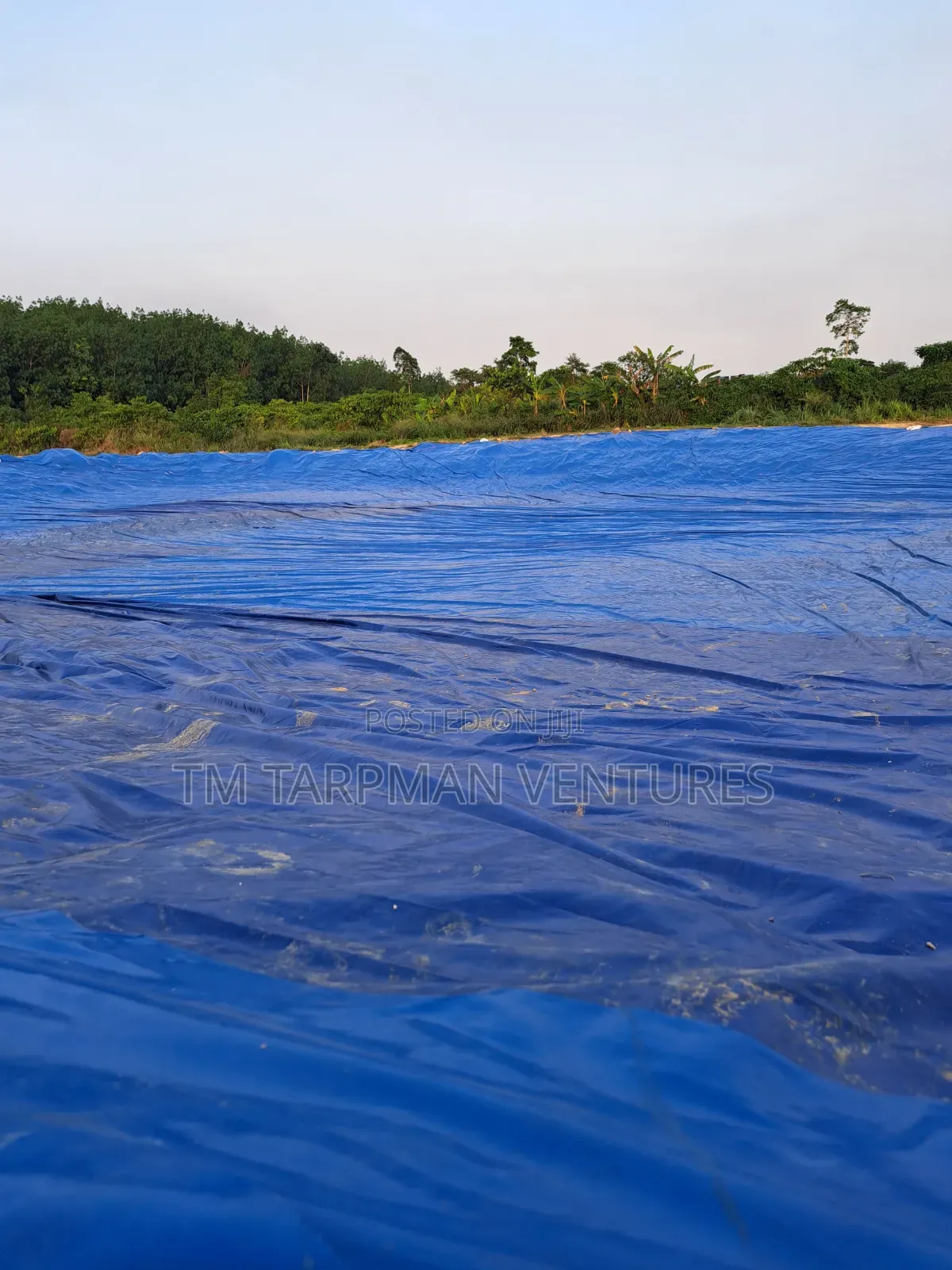 Dam/Pond Lining With PVC Tarpaulin of 65mx65m