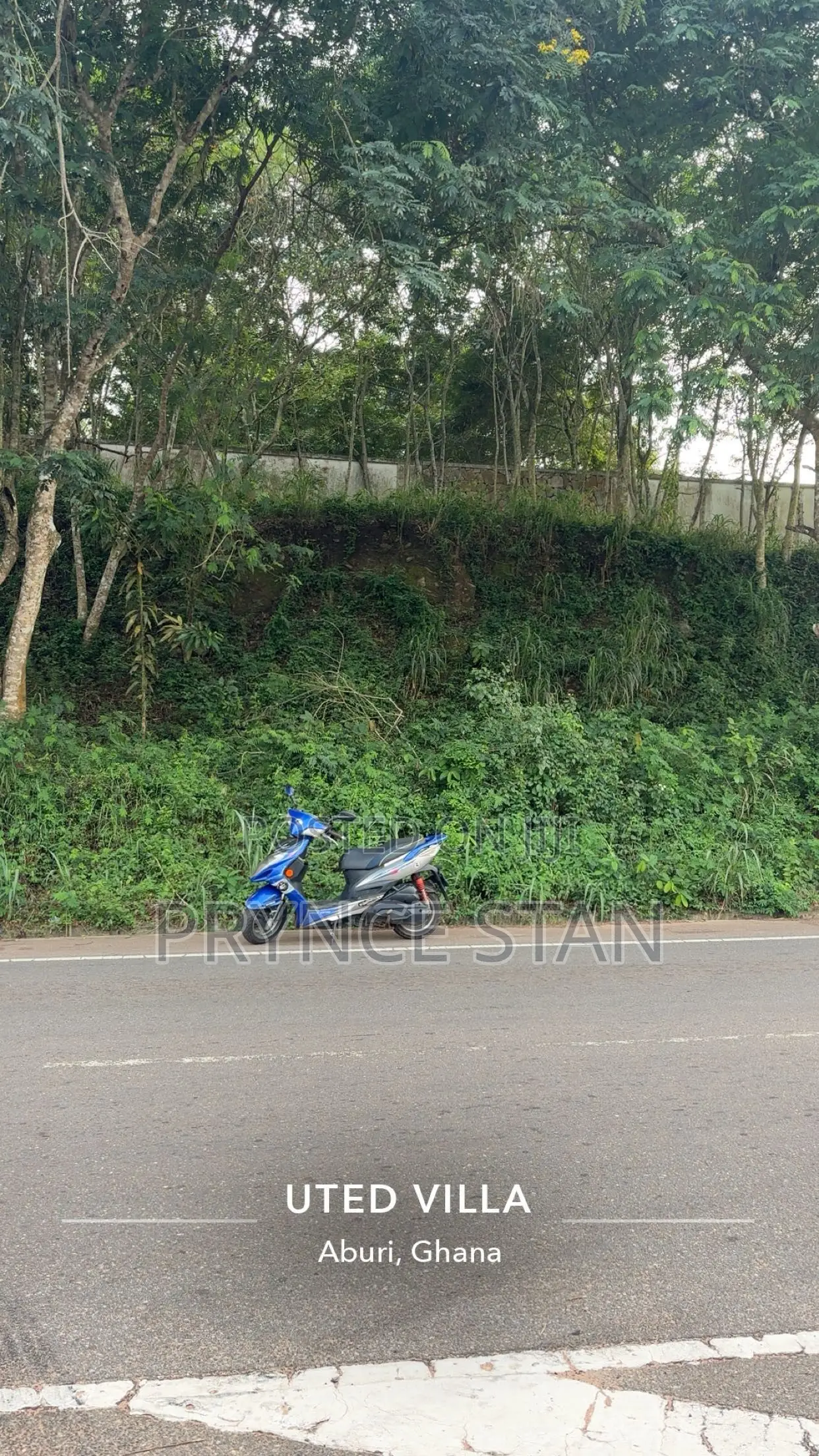 Kymco 2025 Blue