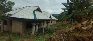 Land and Building