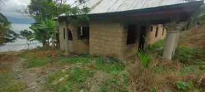 Land and Building