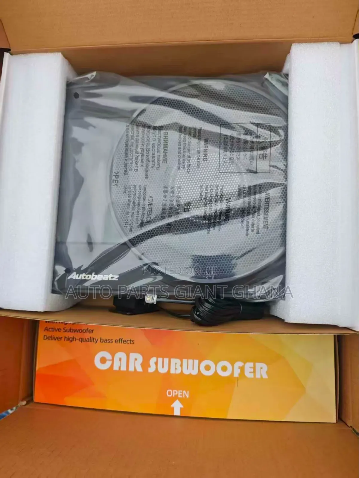 Car Subwoofer 10 Inches