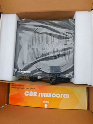 Car Subwoofer 10 Inches