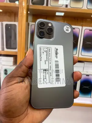 Apple iPhone 12 Pro Max 128 GB Gray