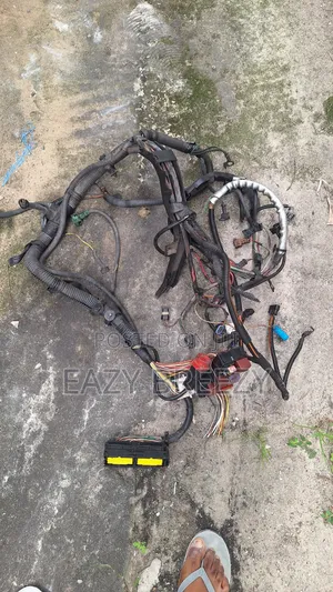 Renault Engine Wires