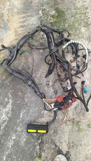 Renault Engine Wires