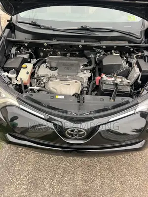 Toyota RAV4 XLE 4dr SUV AWD (2.5L 4cyl 6A) 2018 Black