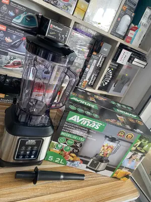 AVINAS Blender for Restaurants and Catering