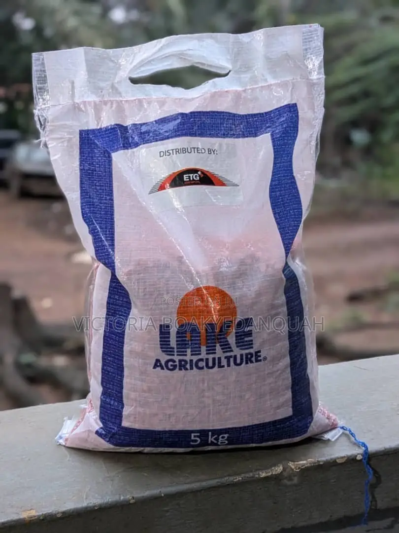 Maize Seed