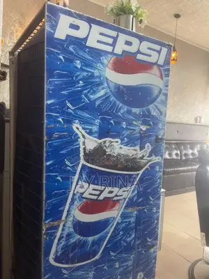 Display Fridge for Sale