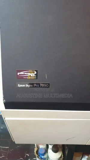 Epson 7890 DTF With Cartridge Problem