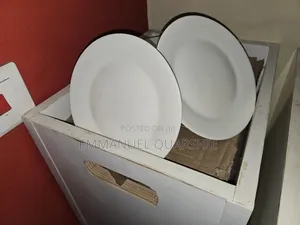Plates and Chafing Dishes Set