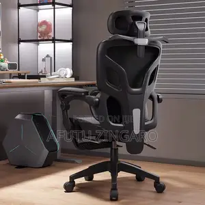 Ergonomics Mesh Chair