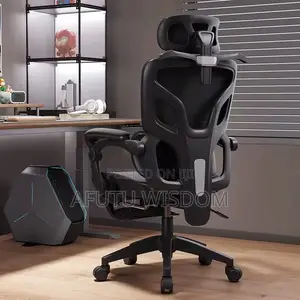 Ergonomics Mesh Chair