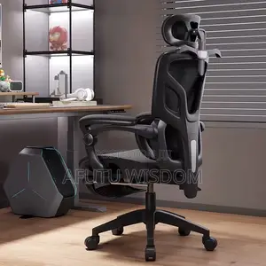 Ergonomics Mesh Chair
