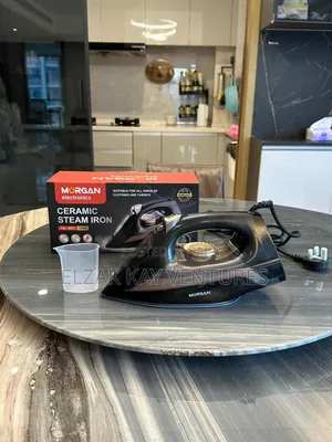 Ceramic Steam Iron