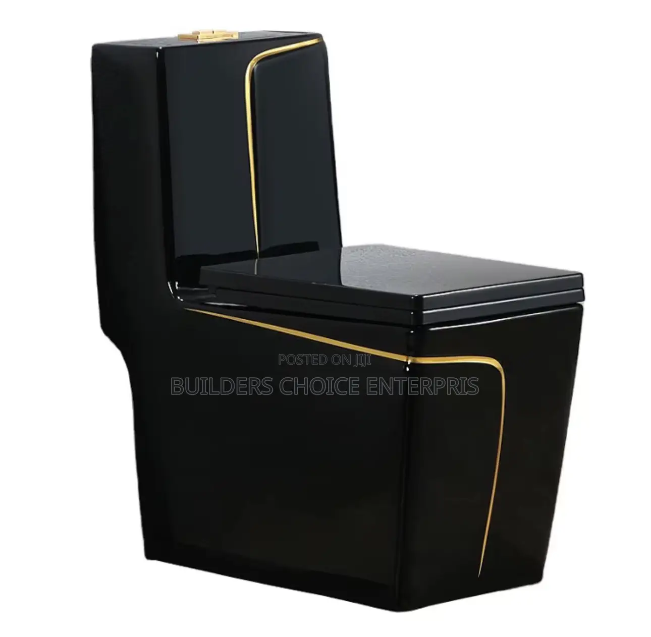 Matte Black Designed Water Closet