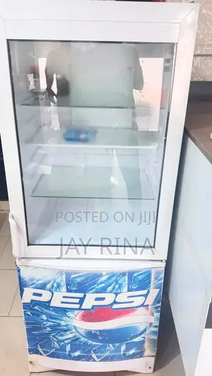 Display Fridge for Sale