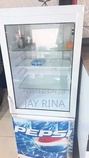 Display Fridge for Sale