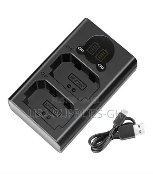 Neewer Dual USB Charger for Sony NP-FZ100 Battery From USA